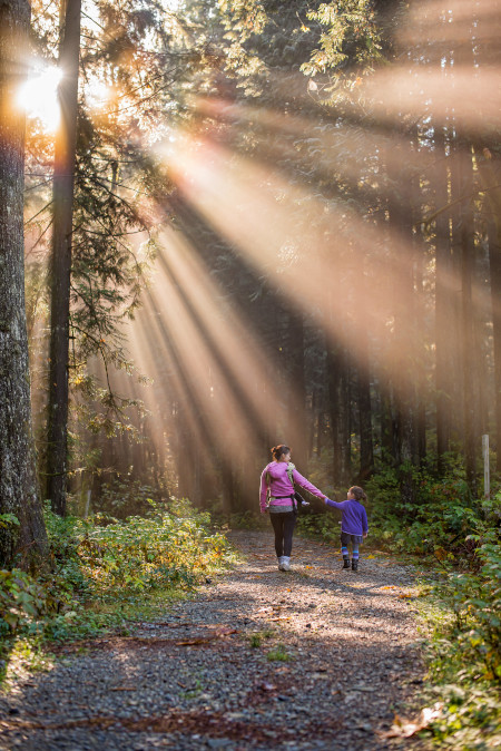 Wandelen in het bos